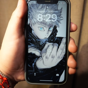 Apple Iphone 11 de 256 gbs